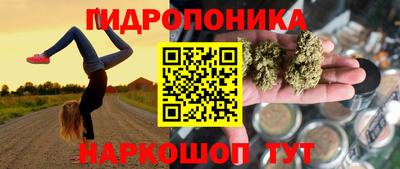 шишки Краснознаменск
