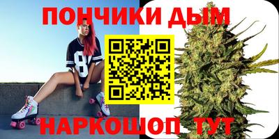шишки Краснознаменск