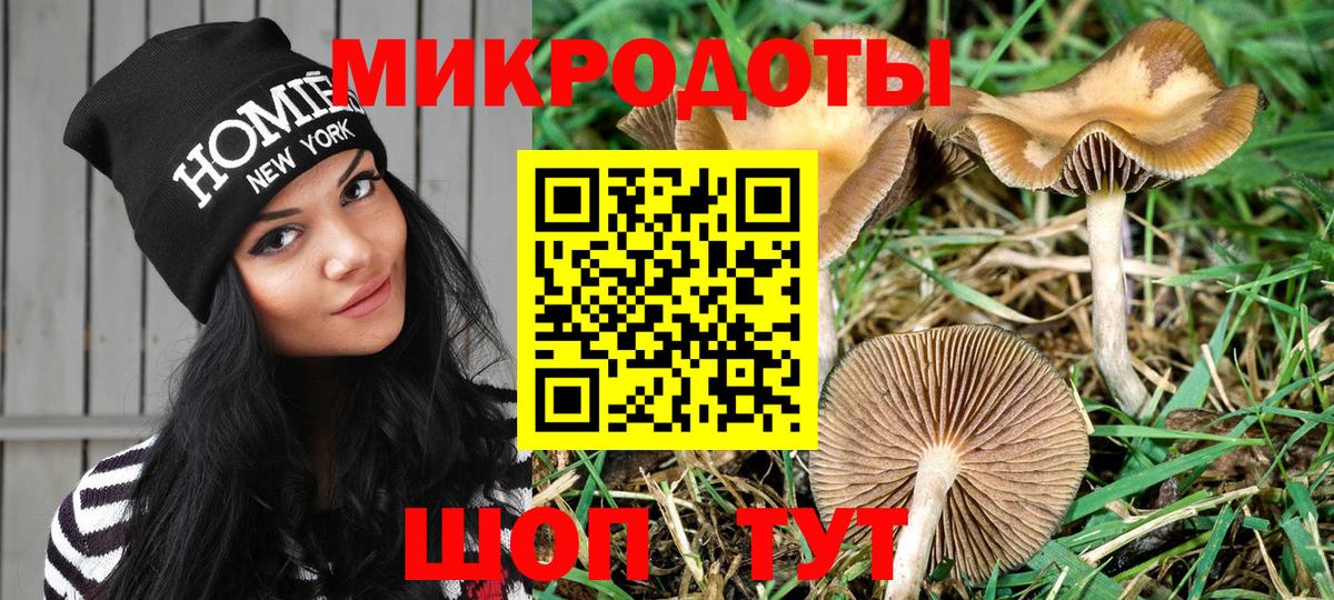 Элиста  Галлюциногенные грибы Magic Shrooms  Вход с VPN 